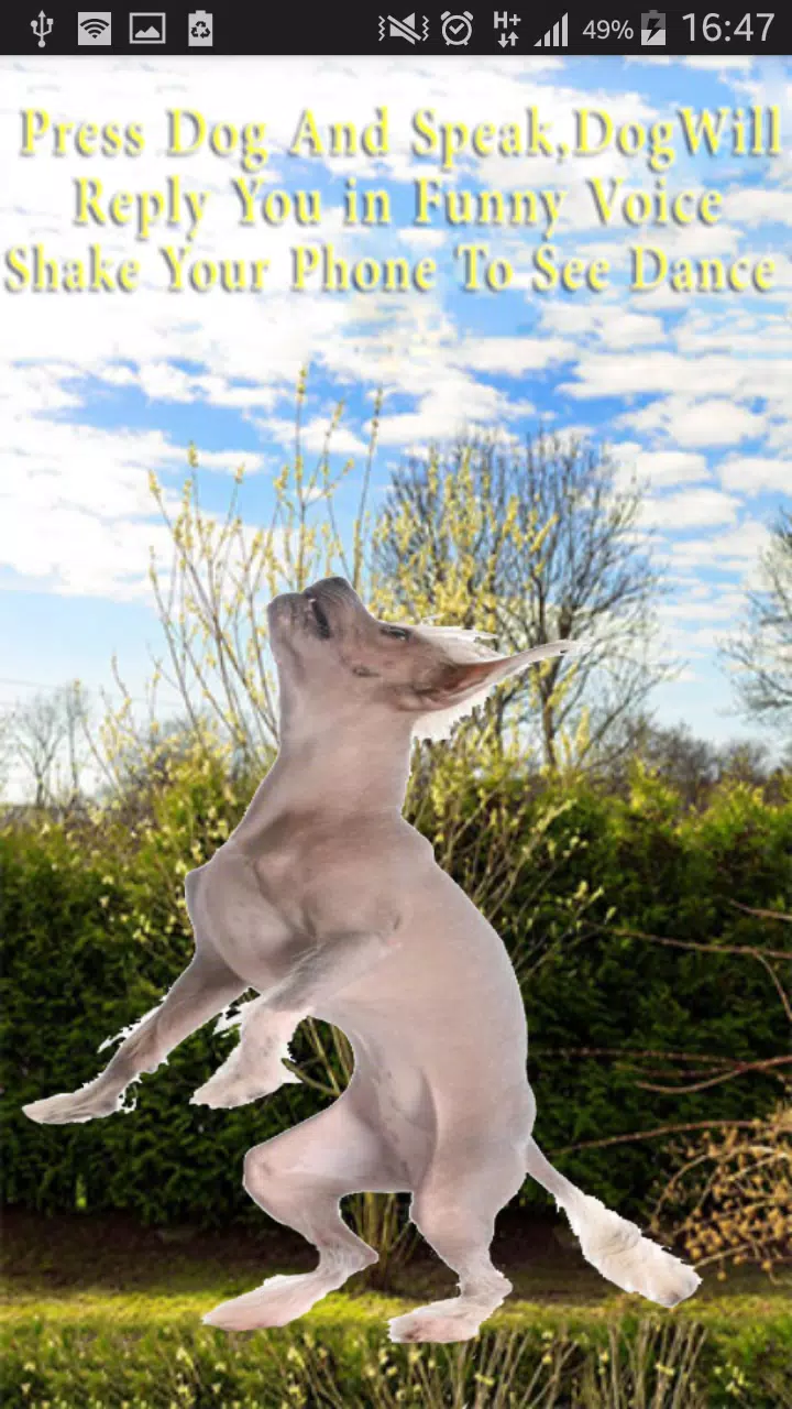 Talking-Dancing Dog screenshot 5