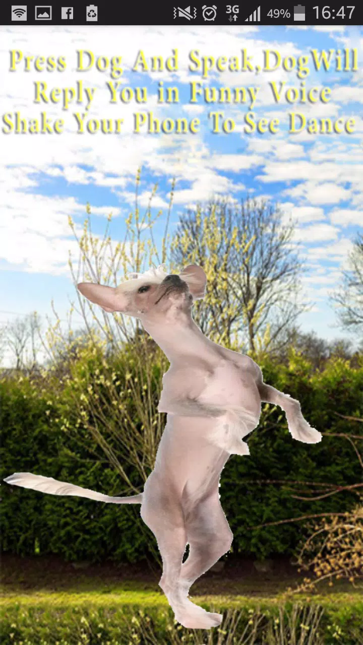 Talking-Dancing Dog screenshot 7