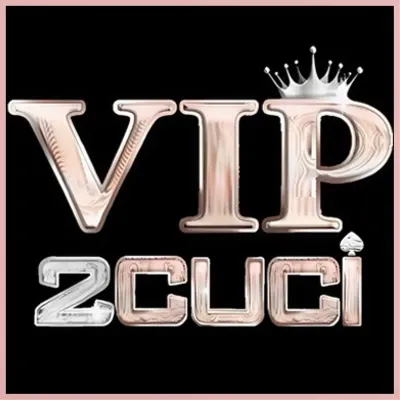 Vip2Cuci APK