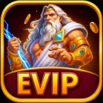 EVIP APK
