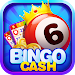 Bingo Cash - Win Real Money APK