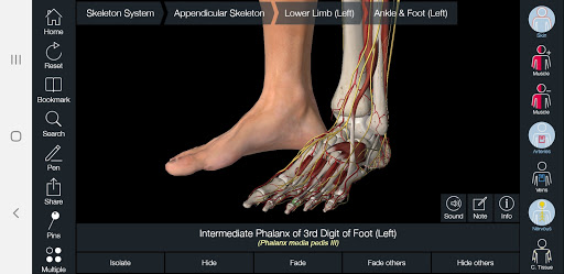 Essential Anatomy 5 screenshot 5