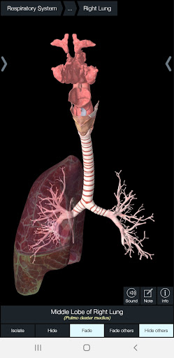 Essential Anatomy 5 screenshot 6