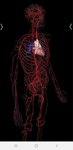 Essential Anatomy 5 screenshot 3