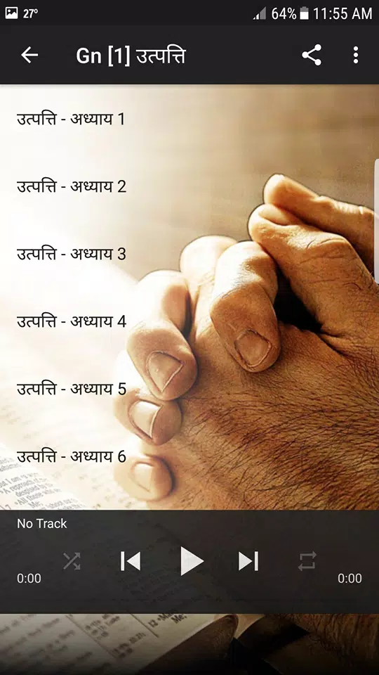 Hindi Bible Audio screenshot 7