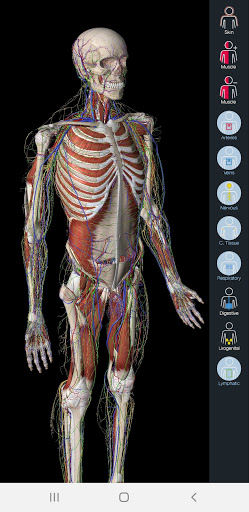 Essential Anatomy 5 screenshot 7