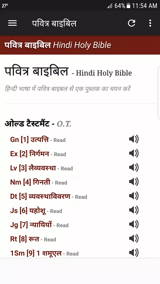 Hindi Bible Audio screenshot 2
