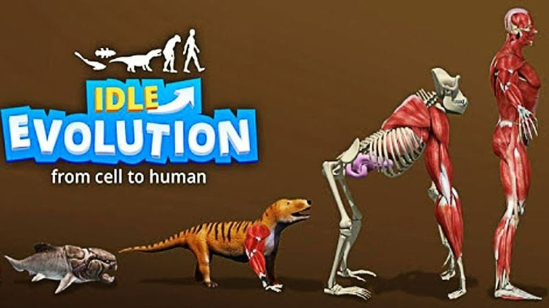 Idle Evolution screenshot 1
