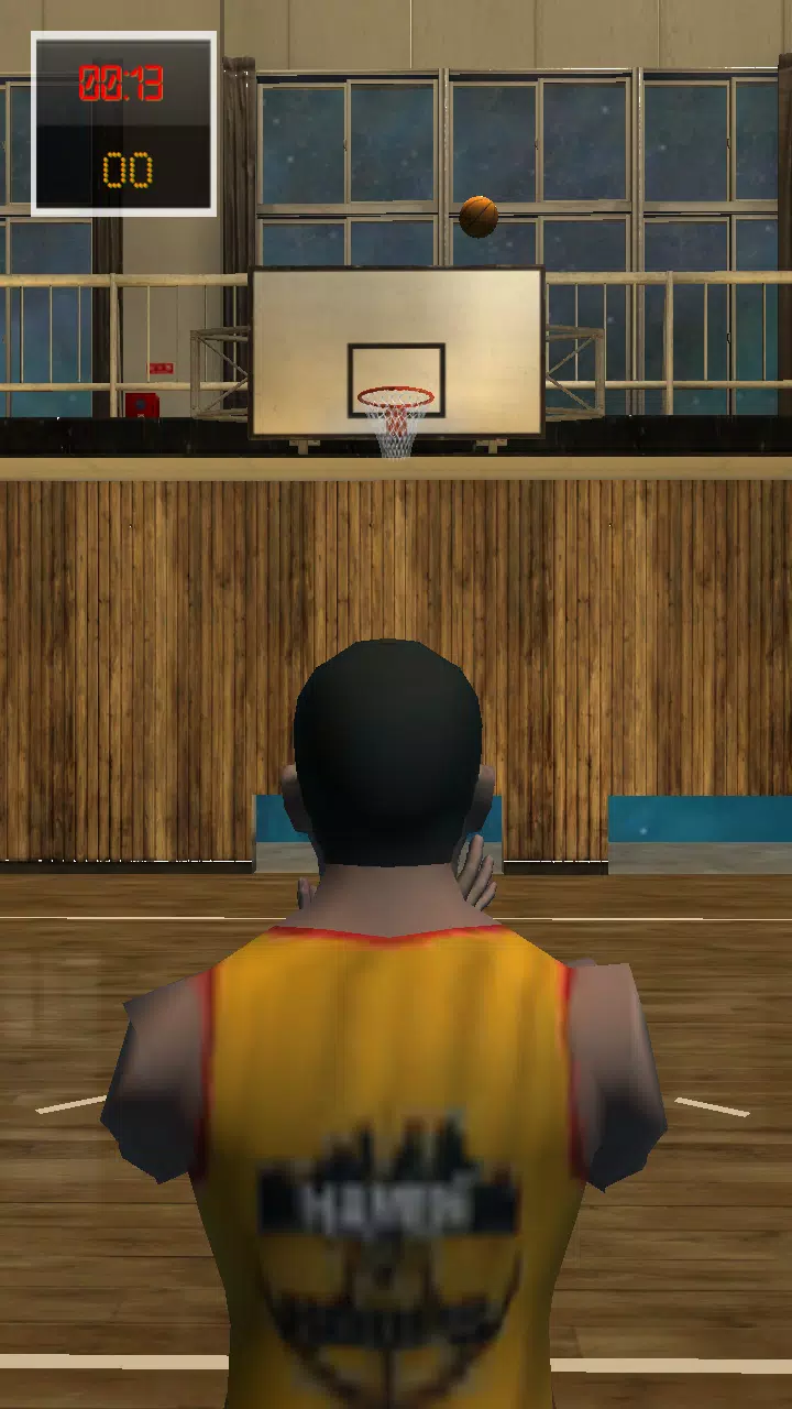 Haven 4 Hoops screenshot 4