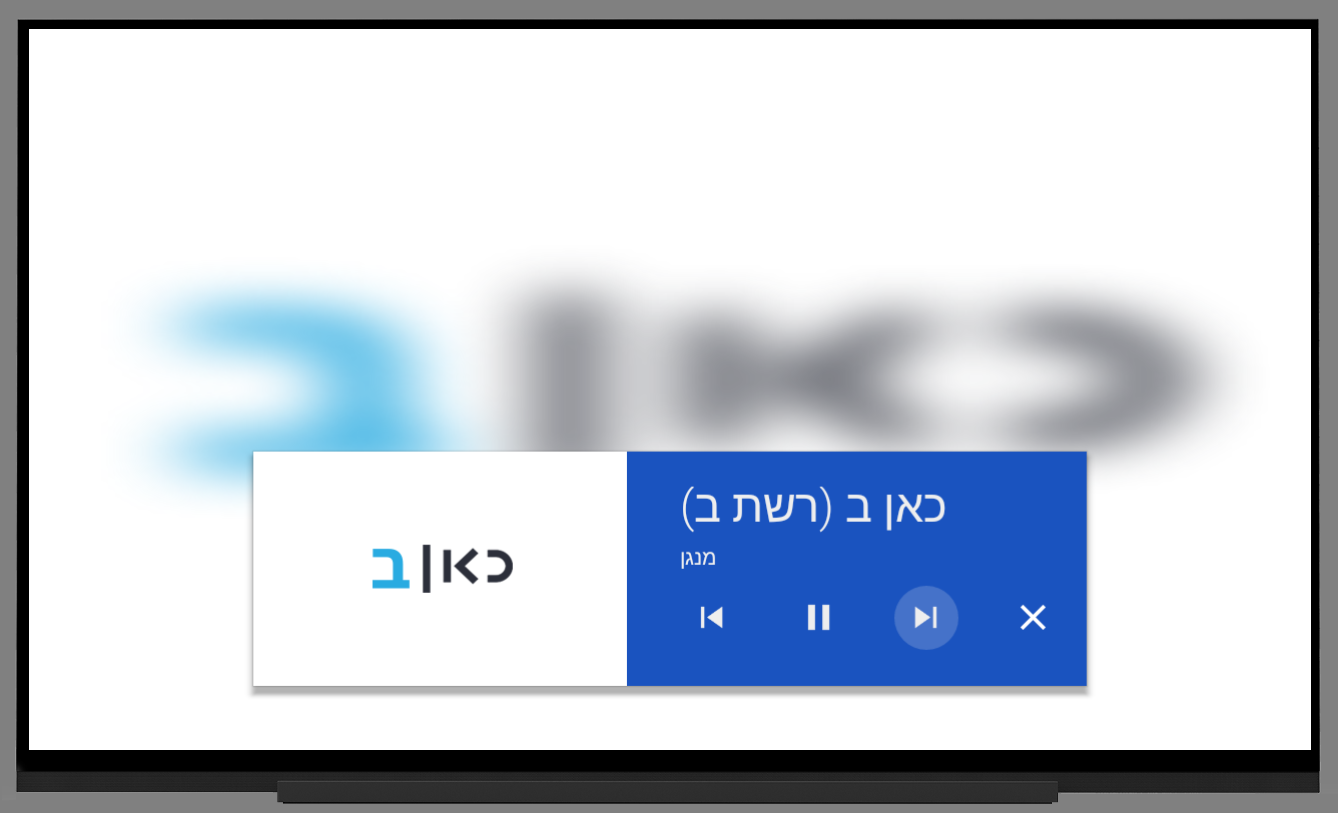 Radio Live Israel radio online screenshot 8