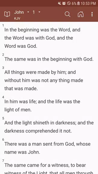 Bible in hand - Steadfast Love screenshot 1