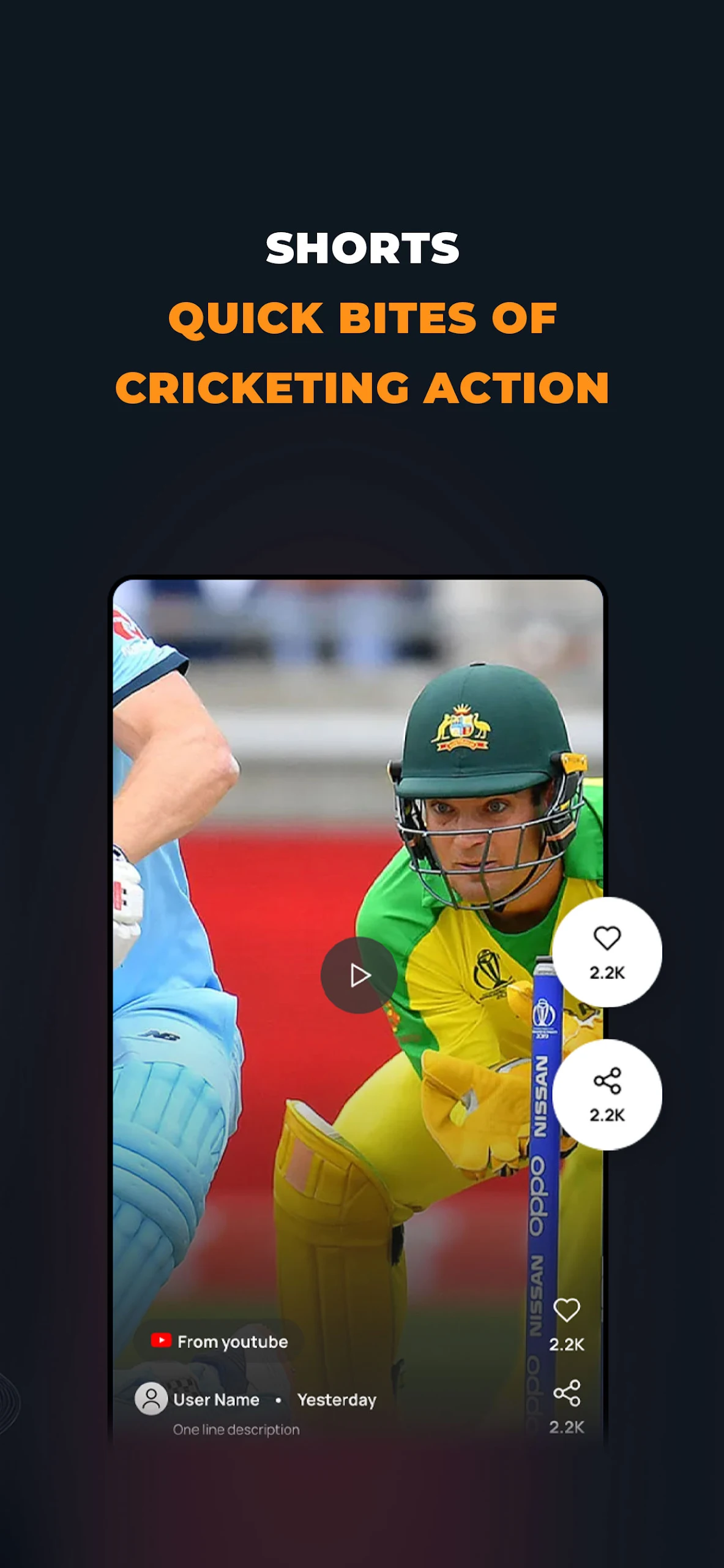 Cricket screenshot 2