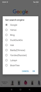 Lena Browser – Private & Fast screenshot 3