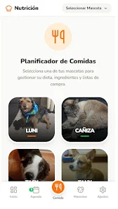 Peting: Gestión de Mascotas screenshot 3