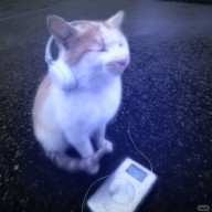 Kernel Ghost Engine APK
