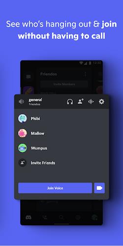 Discord screenshot 4