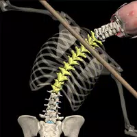 Muscle & Motion: Posture APK